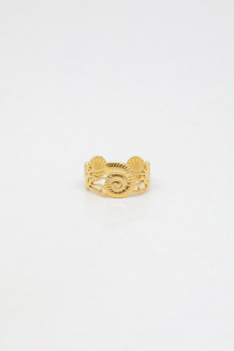 Bague en acier inoxydable