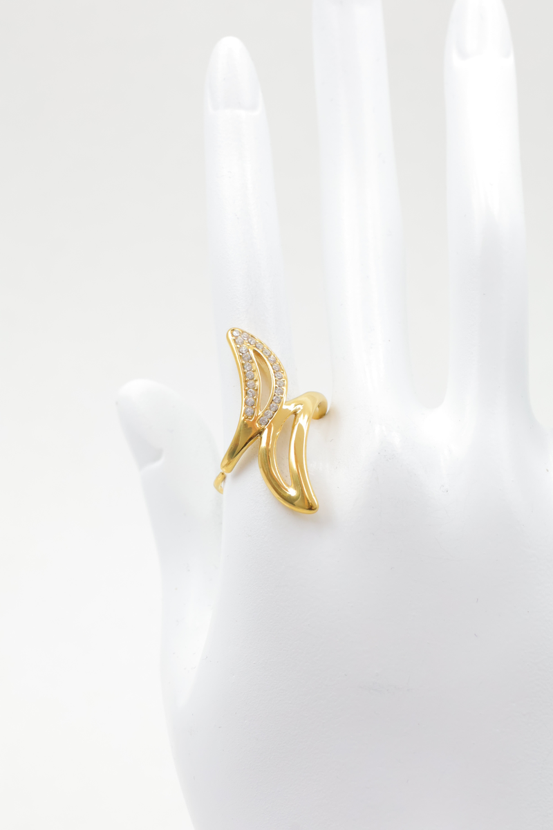 Stainless steel ring 2