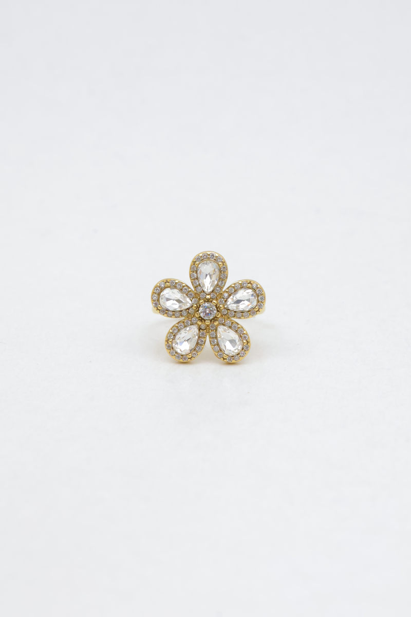 Stainless steel ring 2