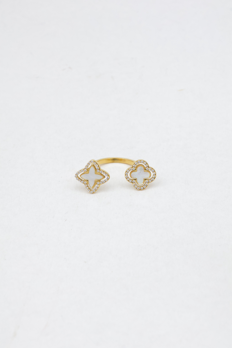 Adjustable stainless steel ring 2