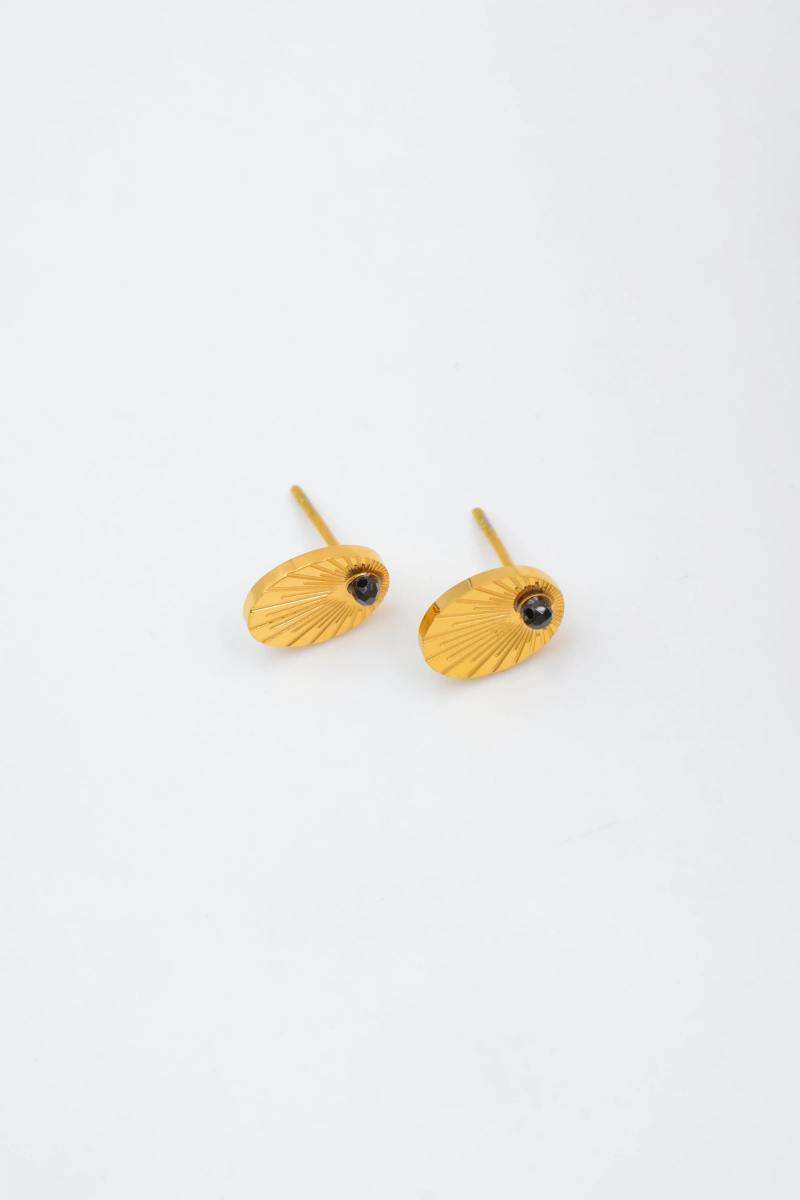 Stainless steel earrings 2