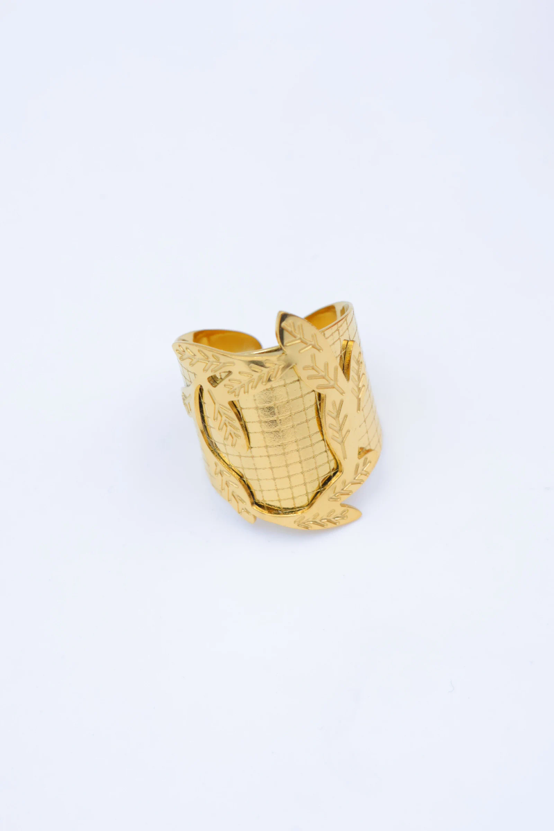 Adjustable stainless steel ring 2