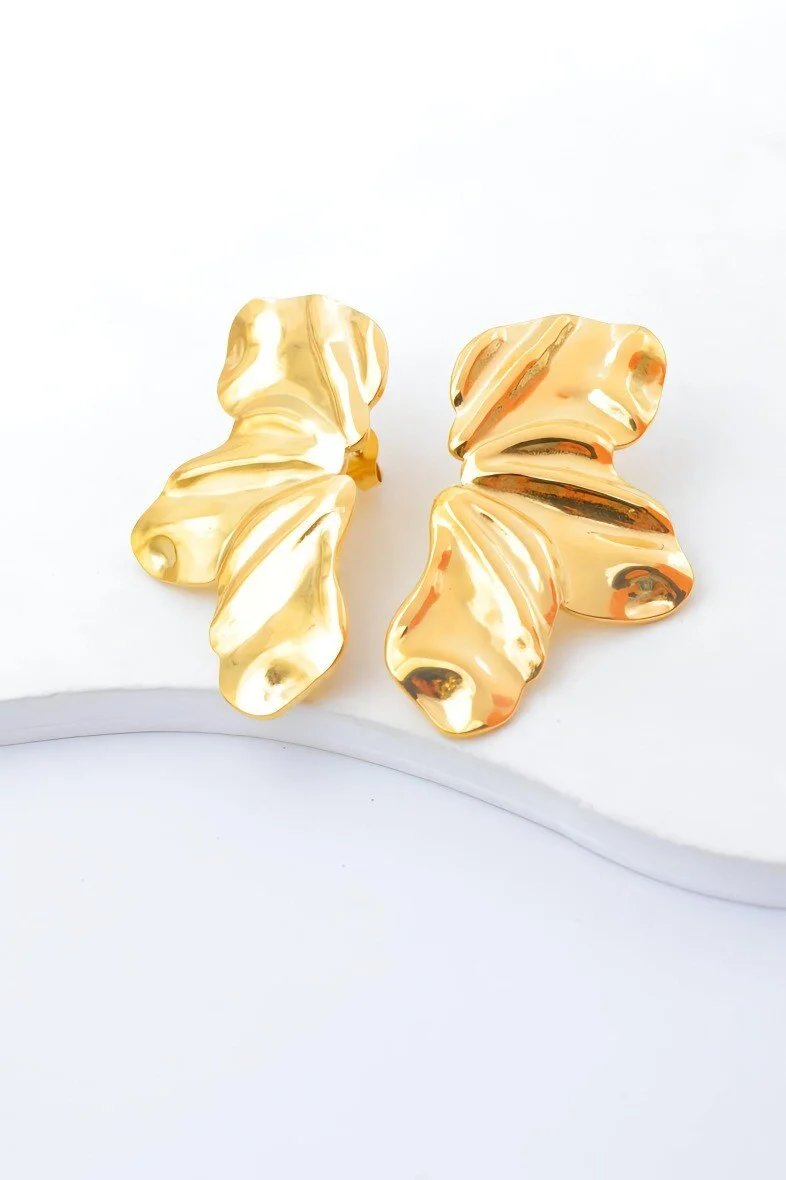 Stainless steel earrings 2