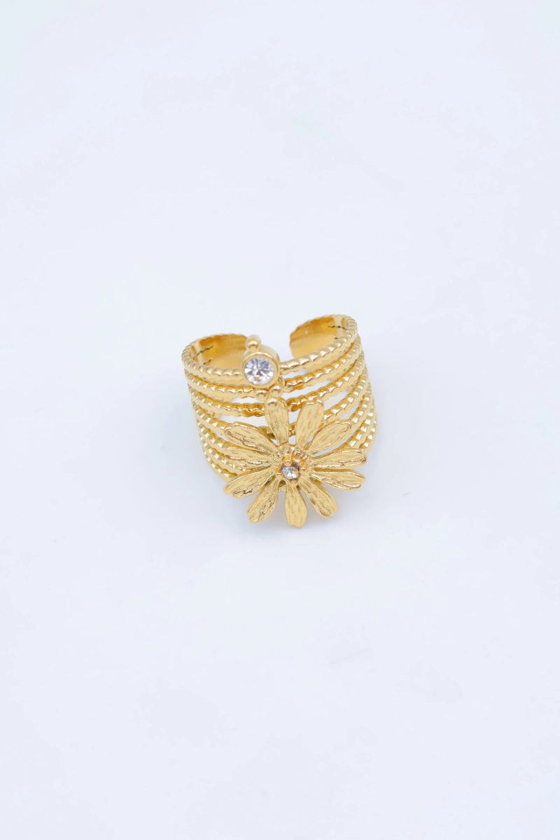 Adjustable stainless steel ring 2