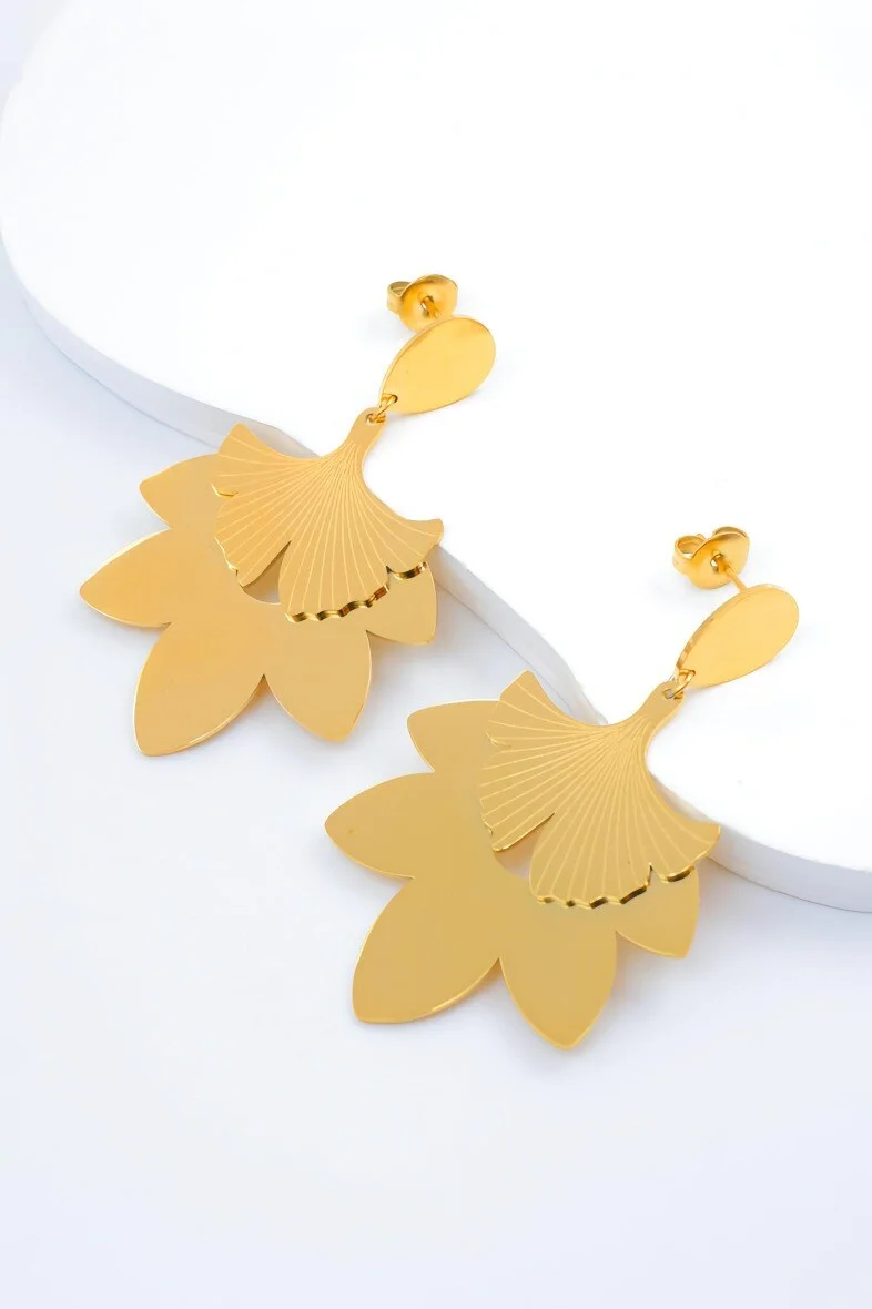 Stainless steel earrings 2