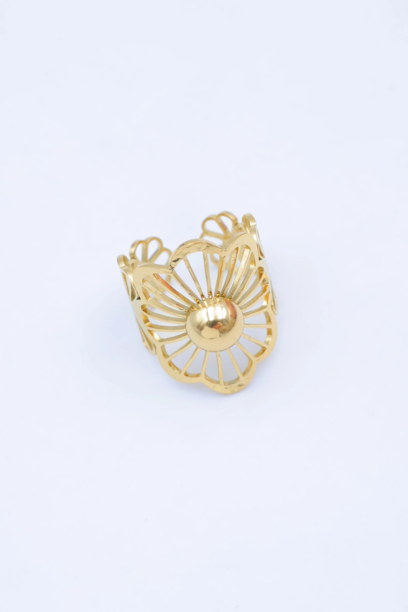 Adjustable stainless steel ring 2