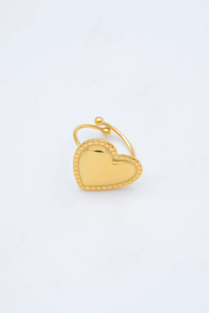 Bague en acier inoxydable ajustable 2