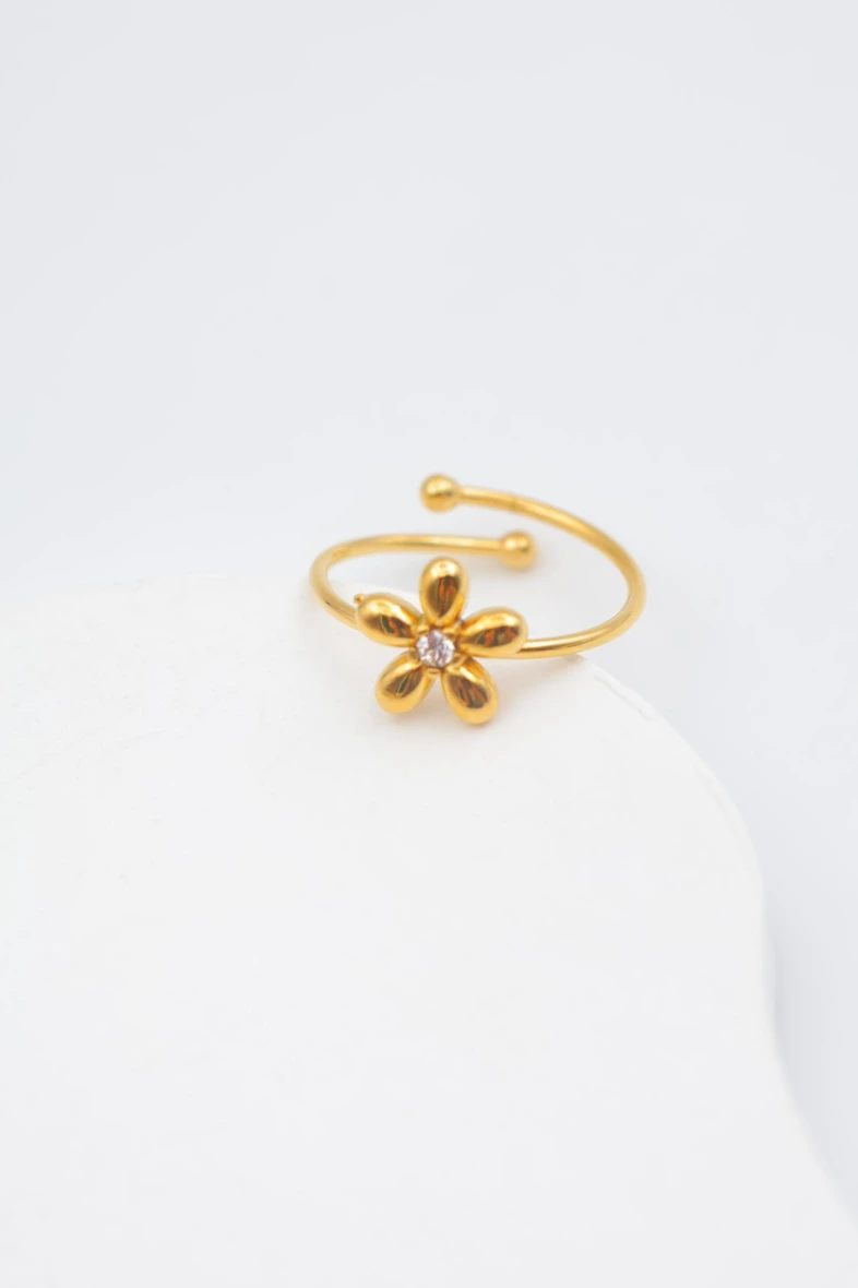 Bague en acier inoxydable ajustable 3