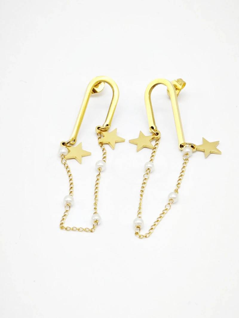 Stainless steel earrings 2