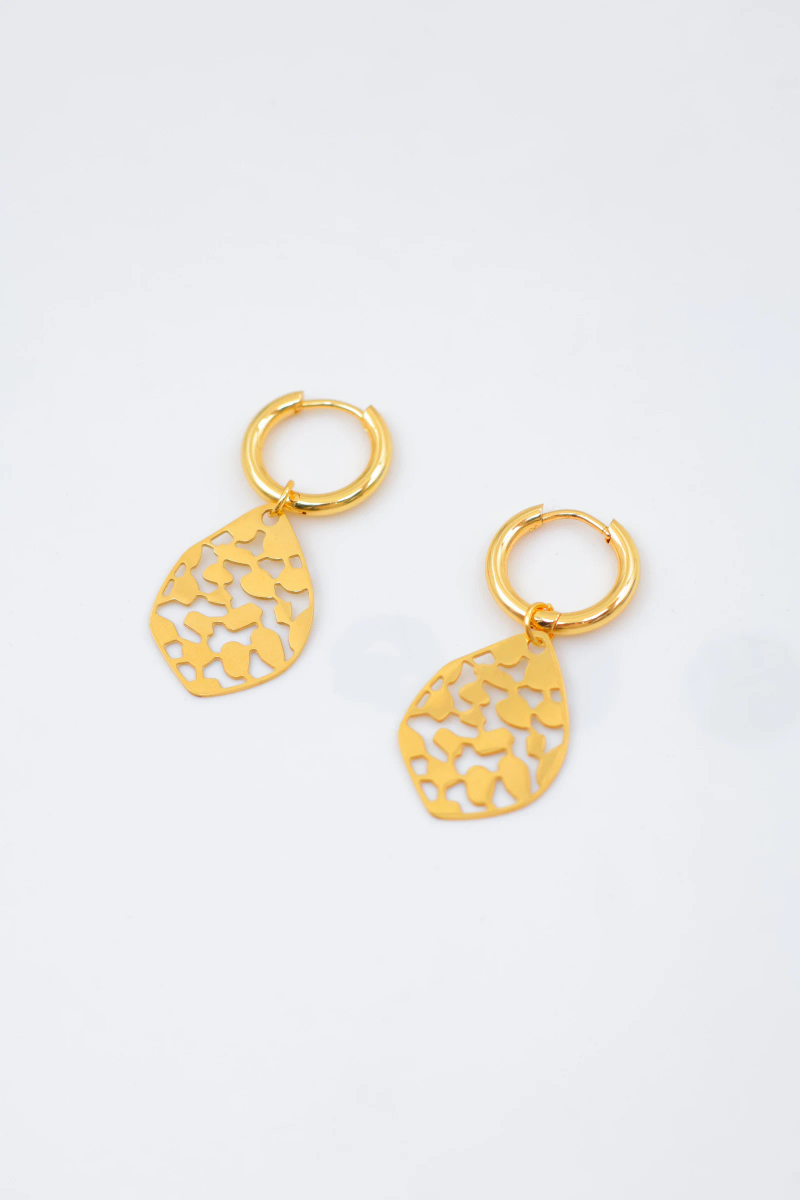 Stainless steel earrings 2