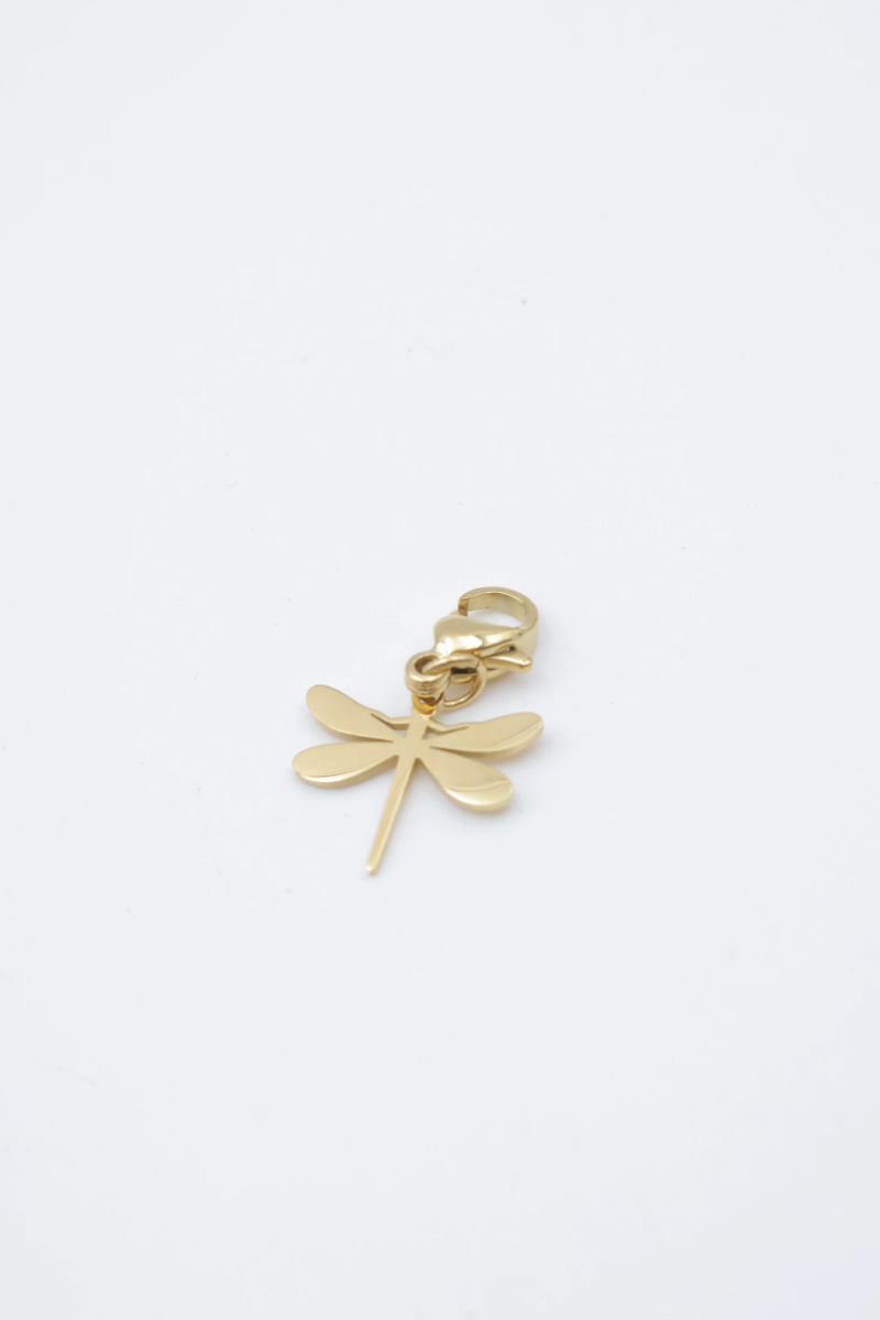 Stainless steel pendant