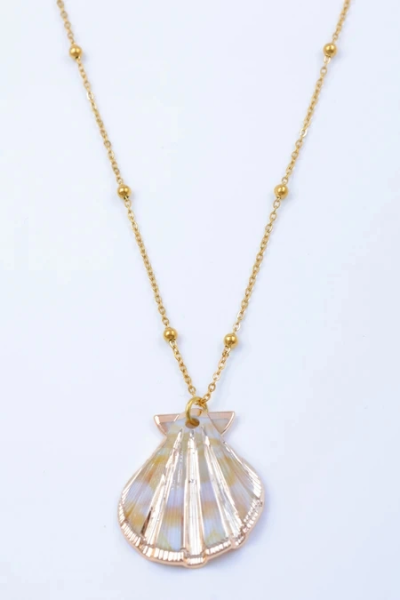 Collier en acier inoxydable 2