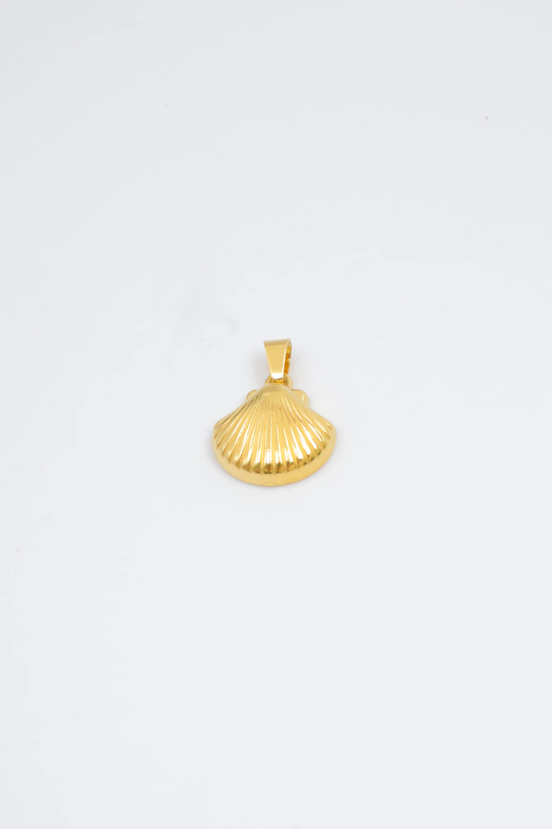 Shell pendant