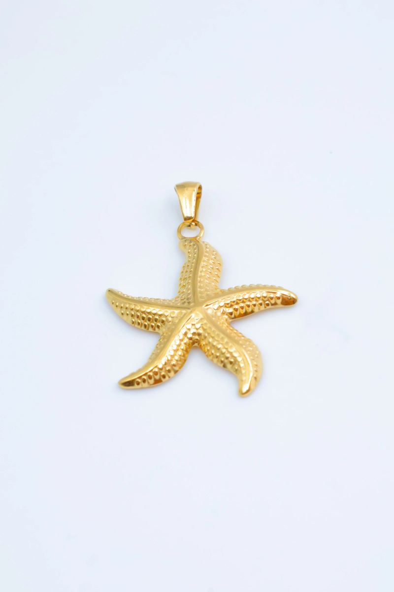Pendentif étoile de mer
