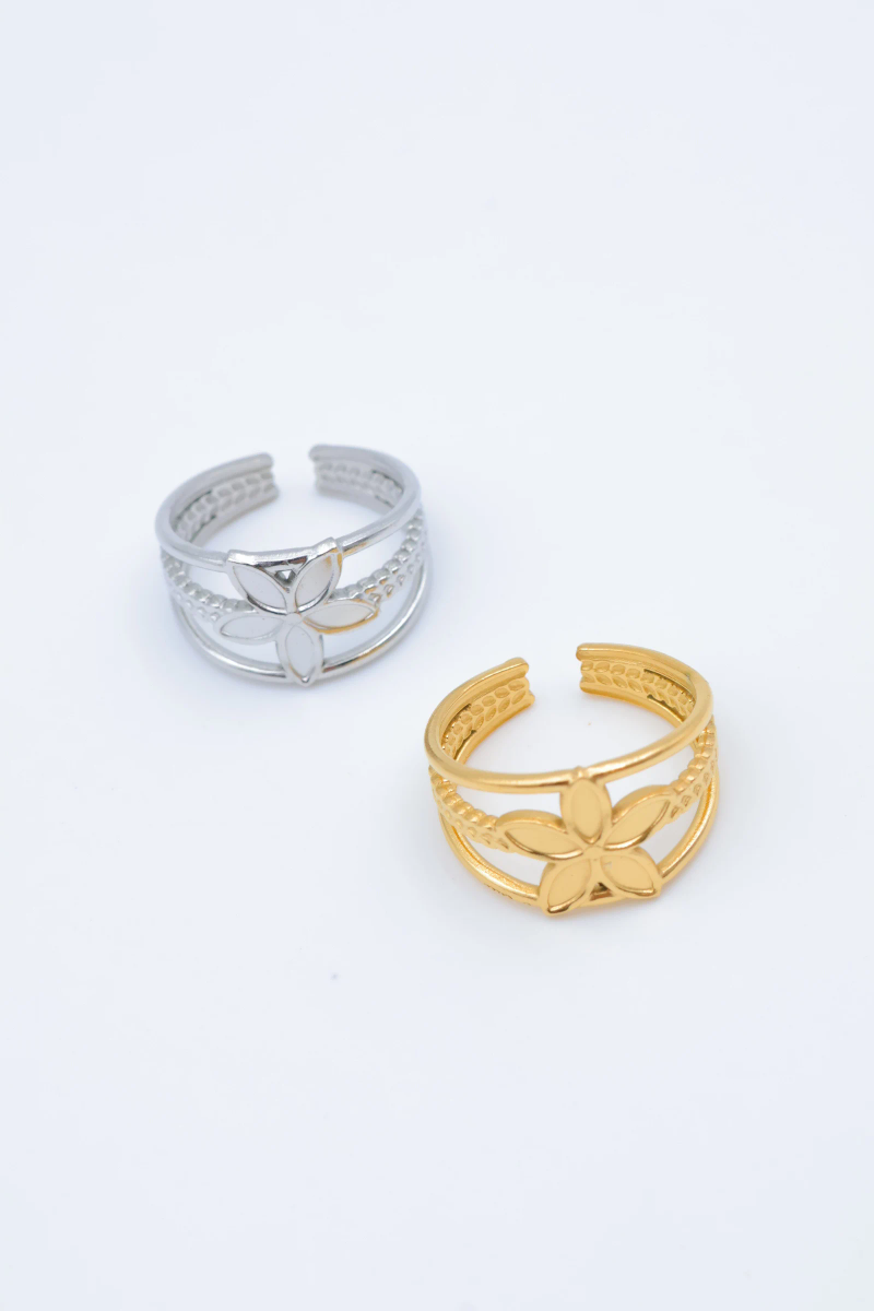 Bague en acier inoxydable ajustable 2