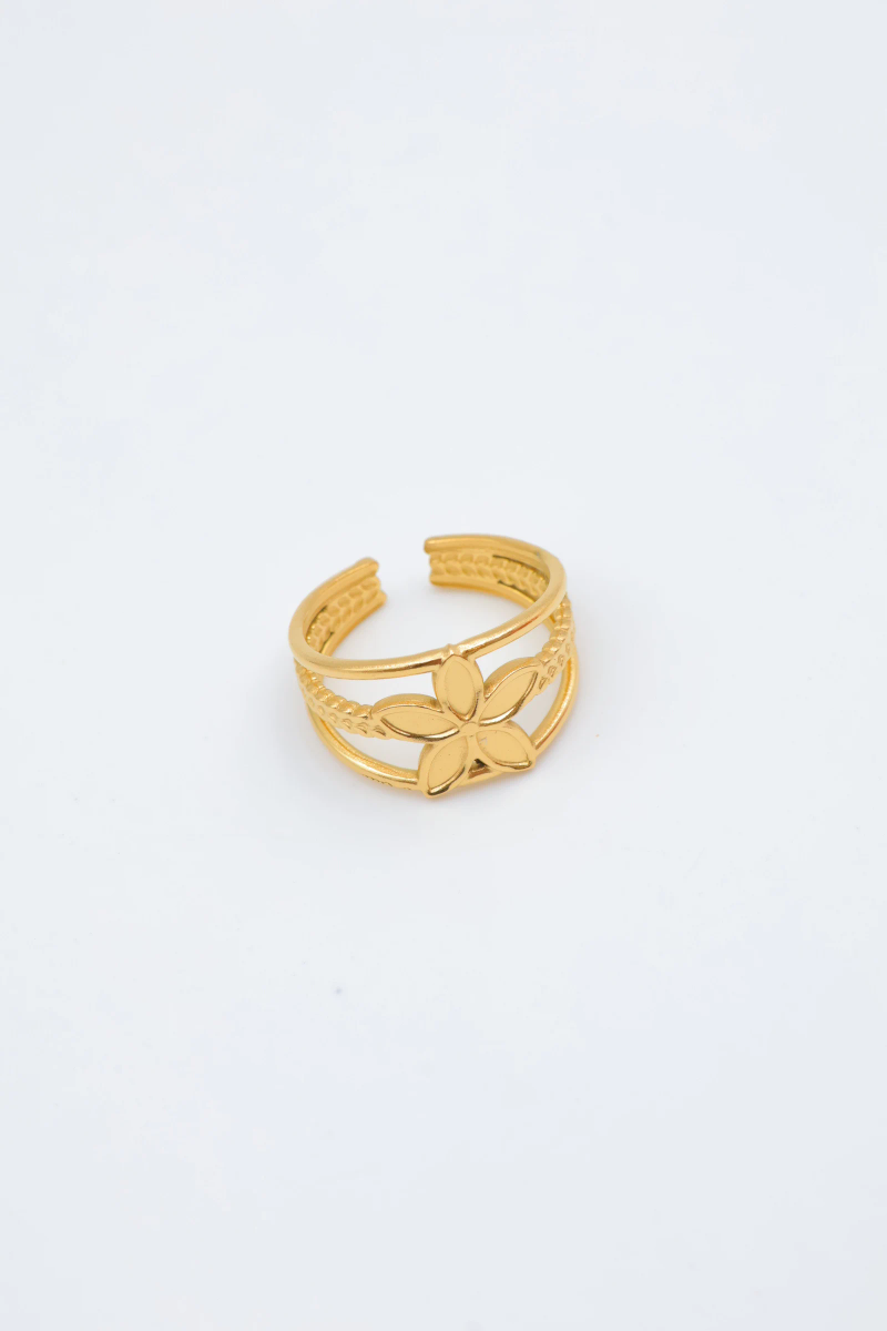 Bague en acier inoxydable ajustable 3
