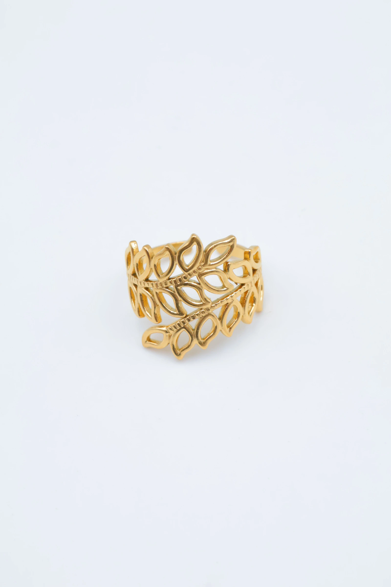 Bague en acier inoxydable ajustable 2