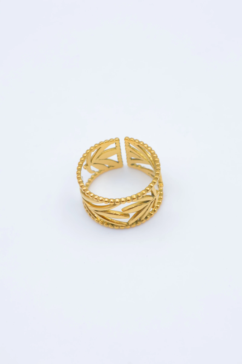 Adjustable stainless steel ring 2