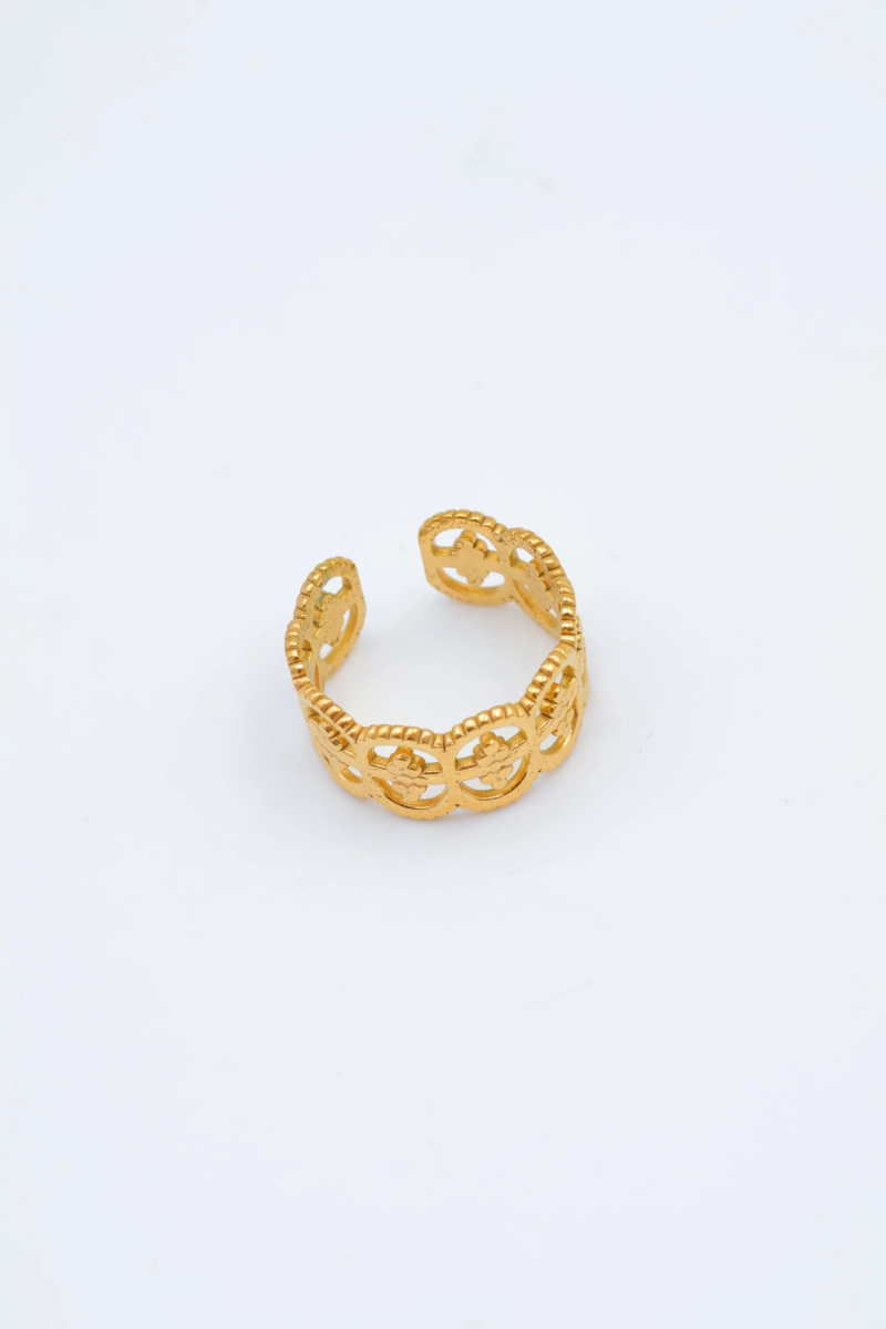 Adjustable stainless steel ring 2