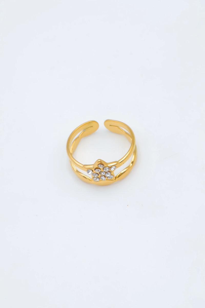 Adjustable stainless steel ring 2