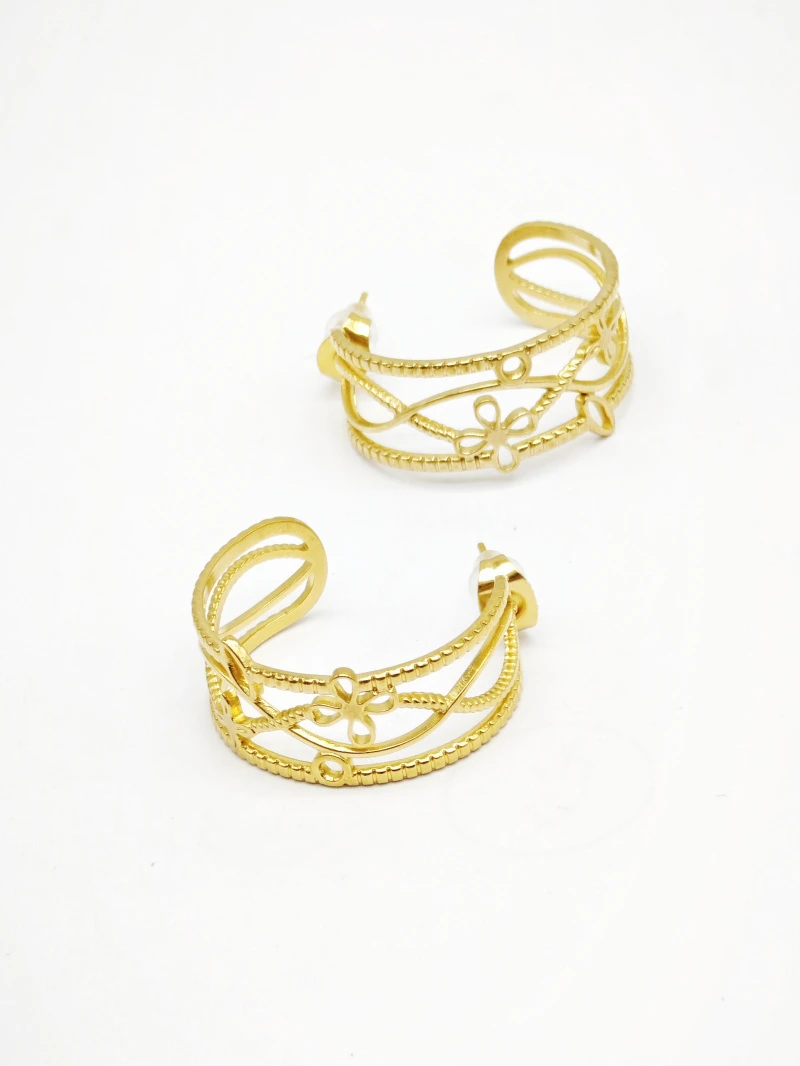 Stainless steel earrings 2