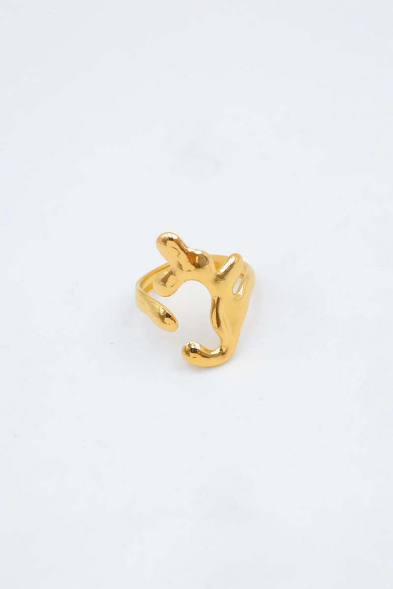 Adjustable stainless steel ring 2