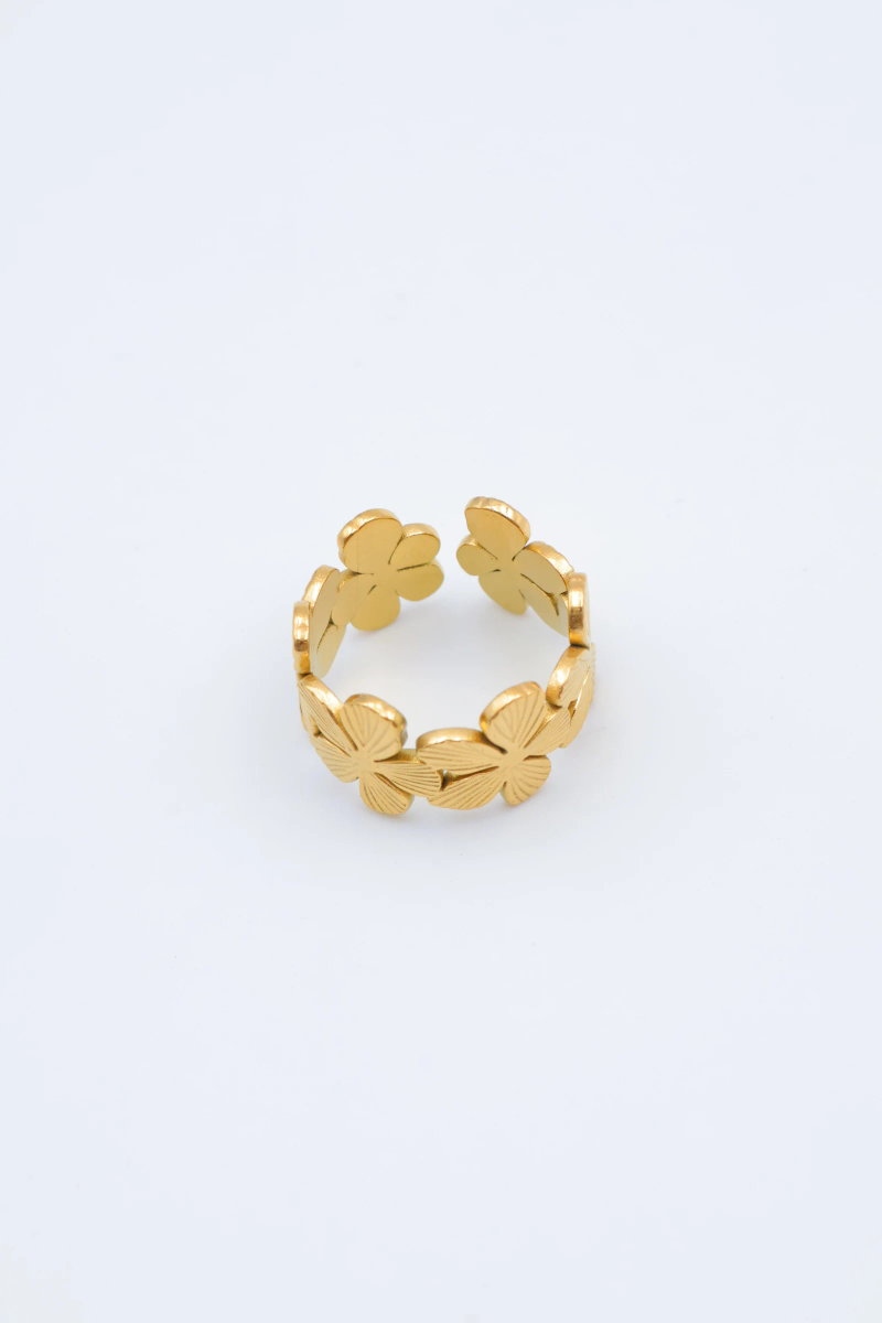 Adjustable stainless steel ring 3