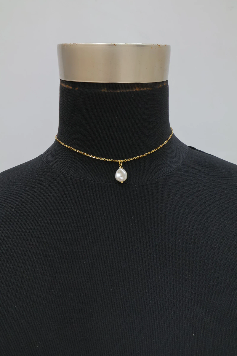 Stainless steel back collar 4