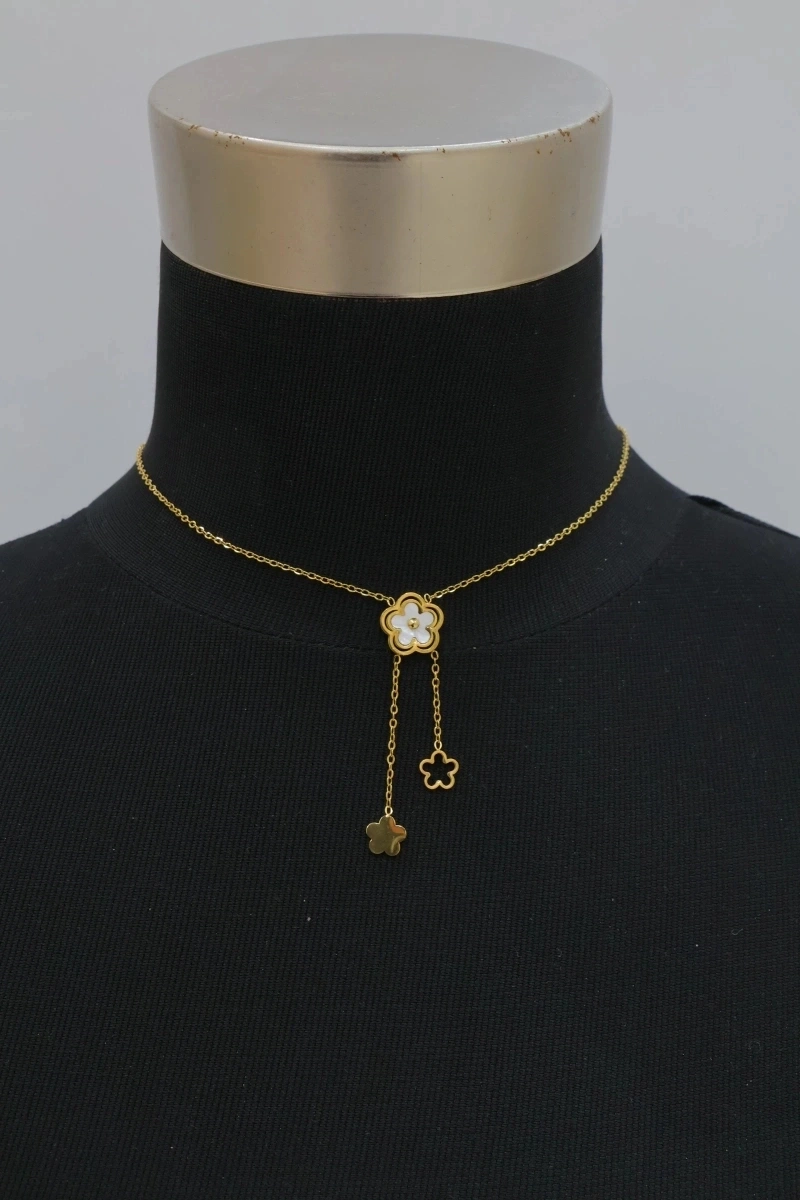 Collier de dos en acier inoxydable