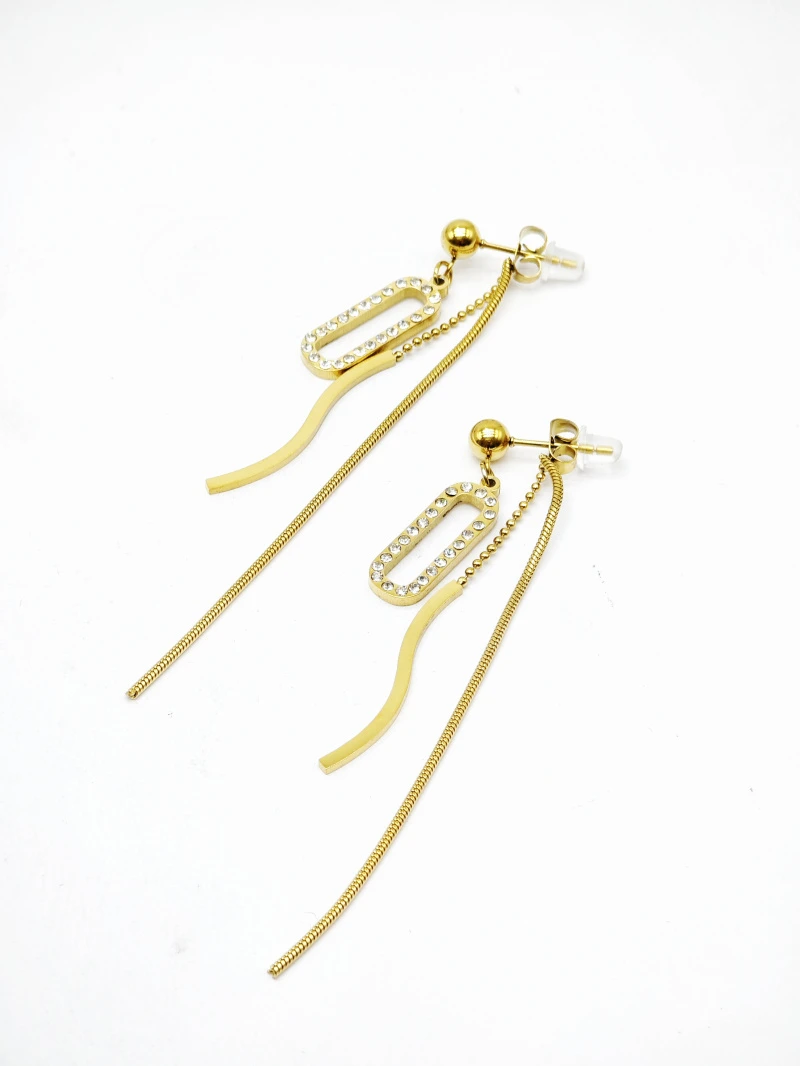 Stainless steel earrings 2