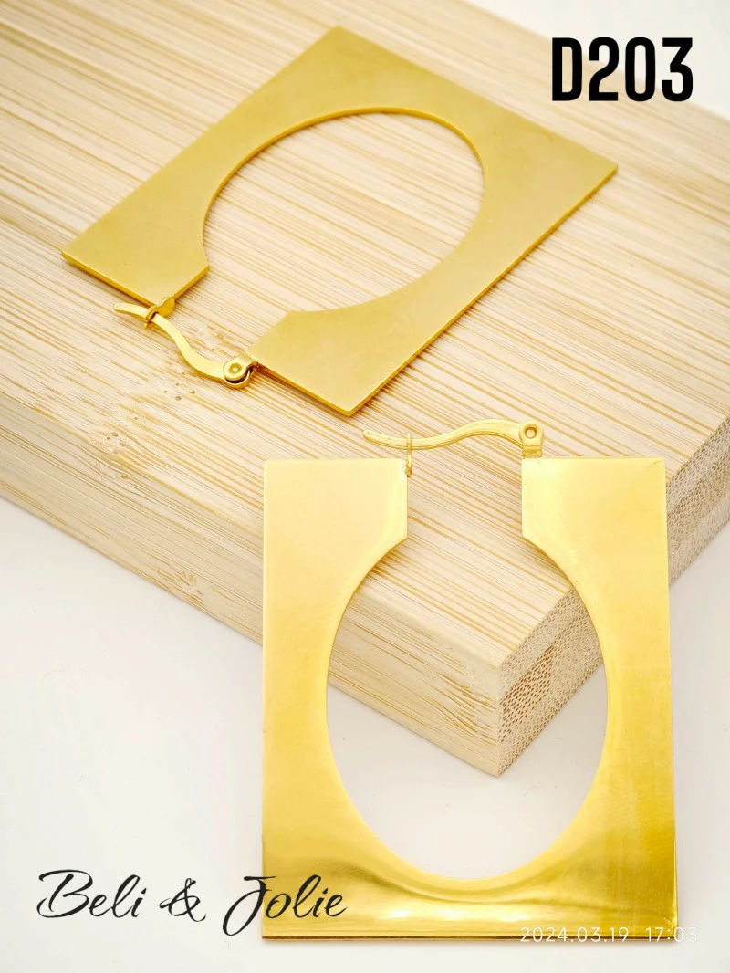 Stainless steel earrings 2