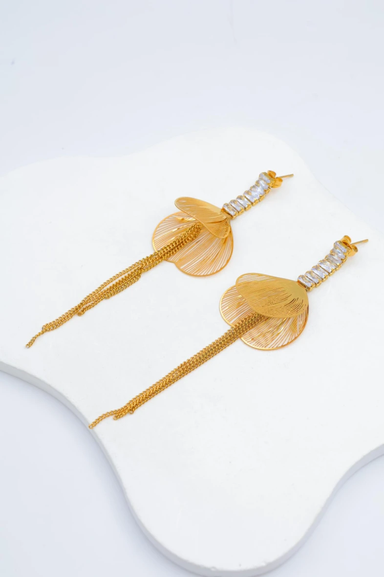 Stainless steel earrings 2