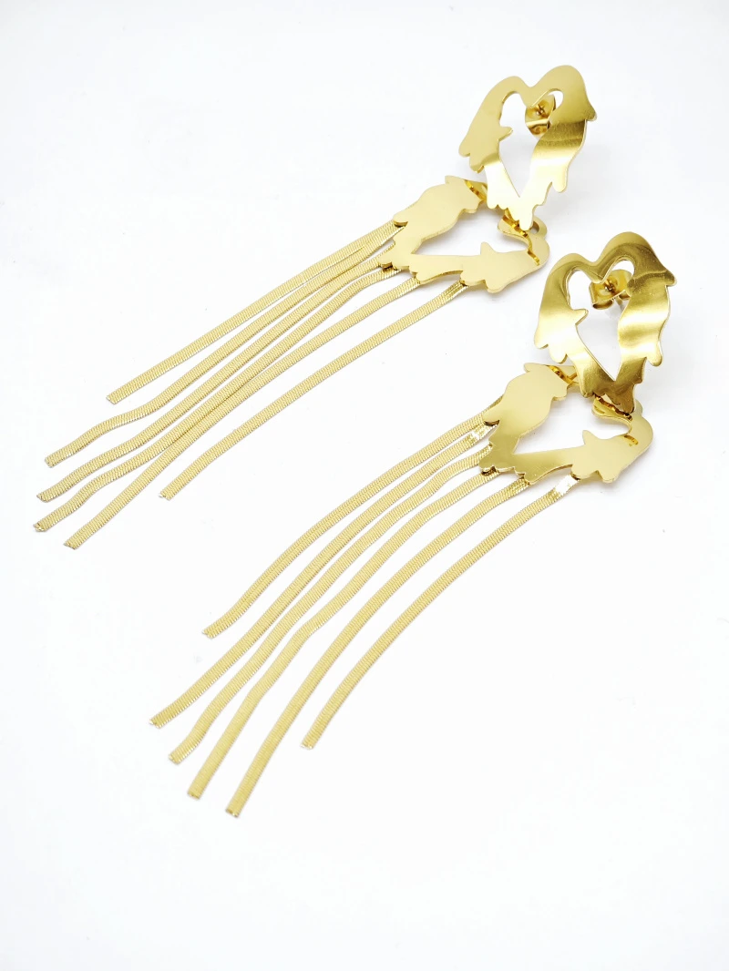 Stainless steel earrings 2