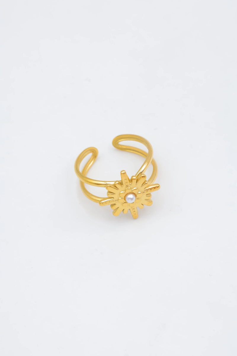 Adjustable stainless steel ring 2