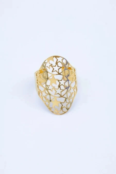 Bague en acier inoxydable ajustable 2