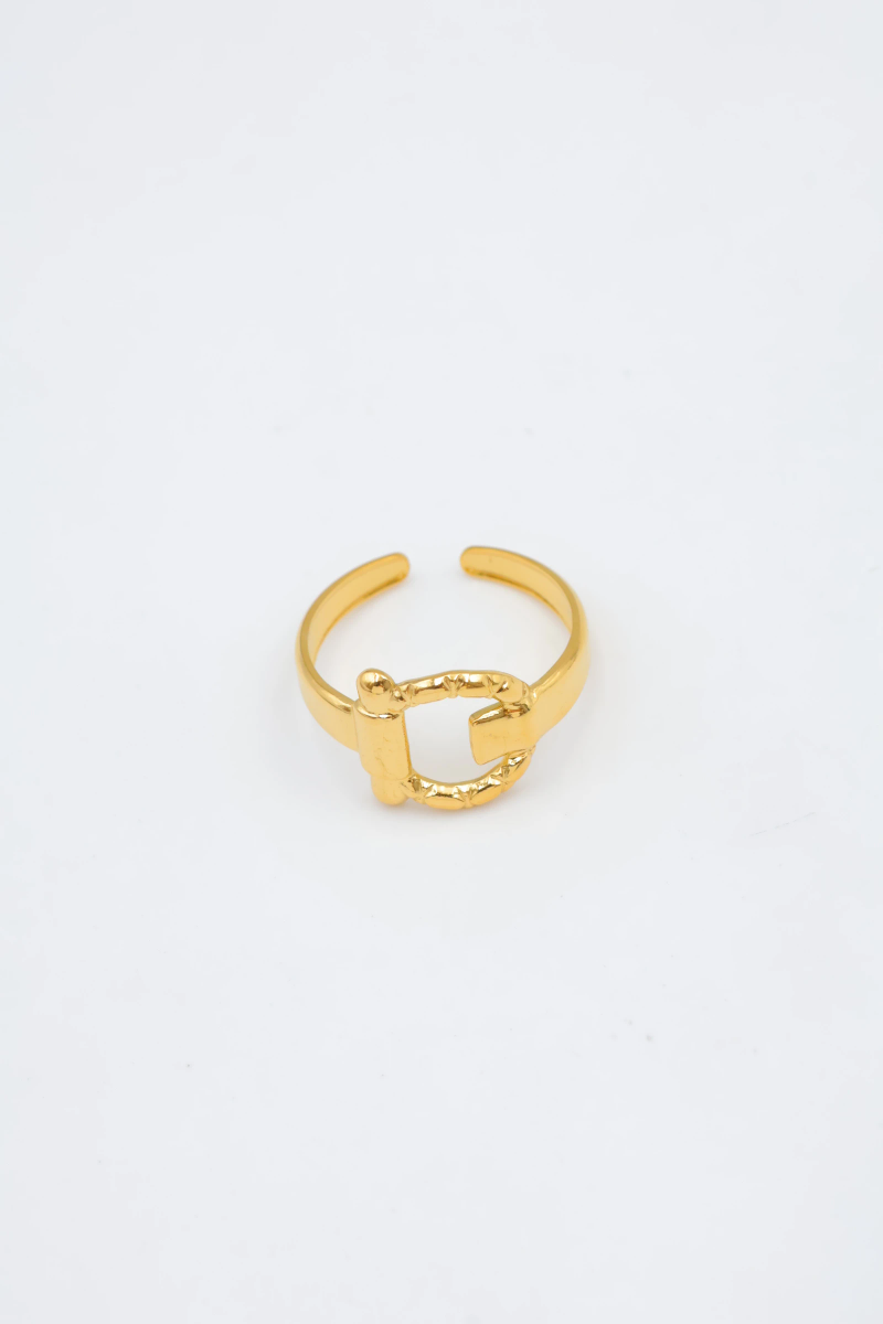 Bague en acier inoxydable ajustable 2