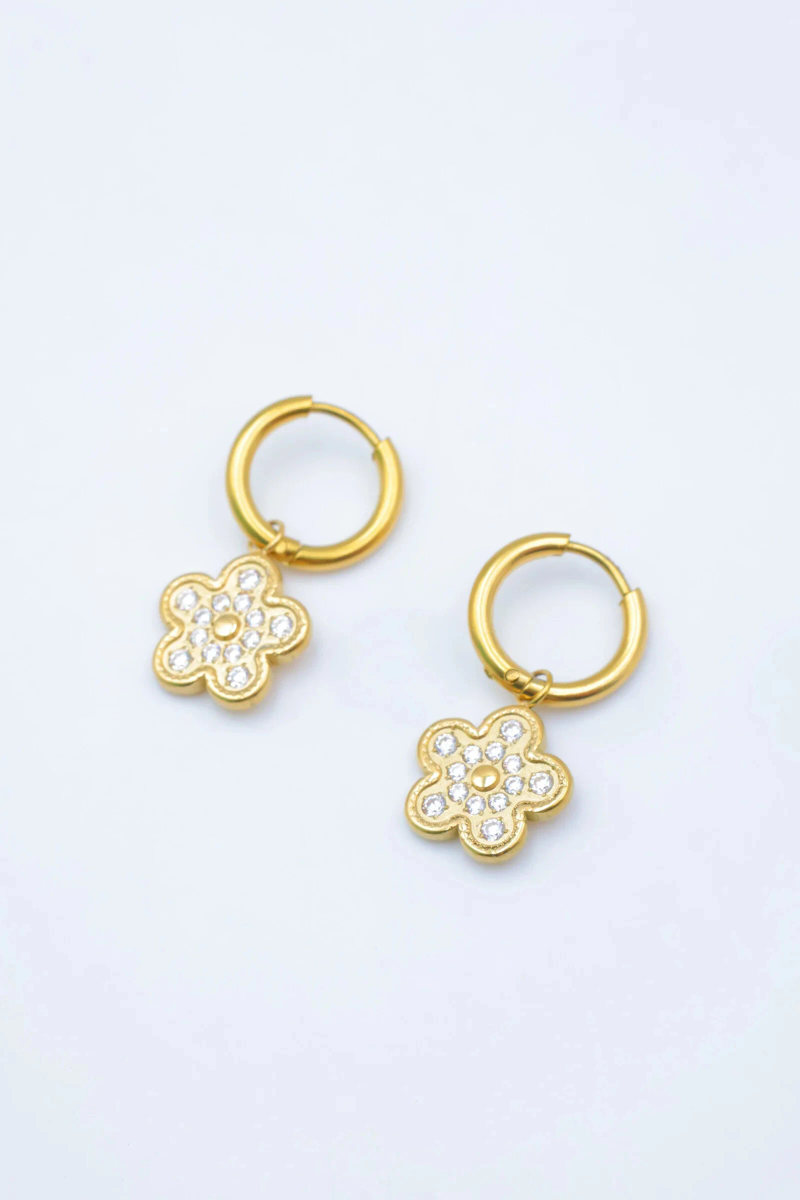 Boucles d'oreilles en acier inoxydable 2