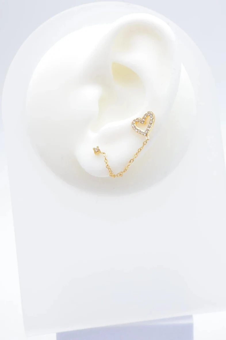 Stainless steel earrings 2