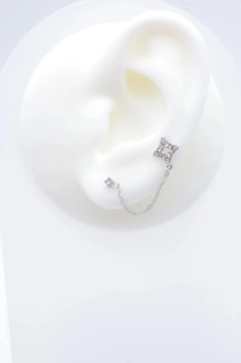 Stainless steel earrings 2