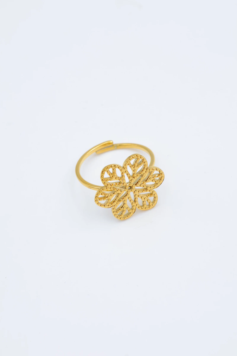 Adjustable stainless steel ring 2