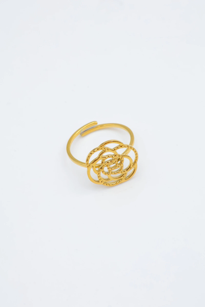 Bague en acier inoxydable ajustable 2