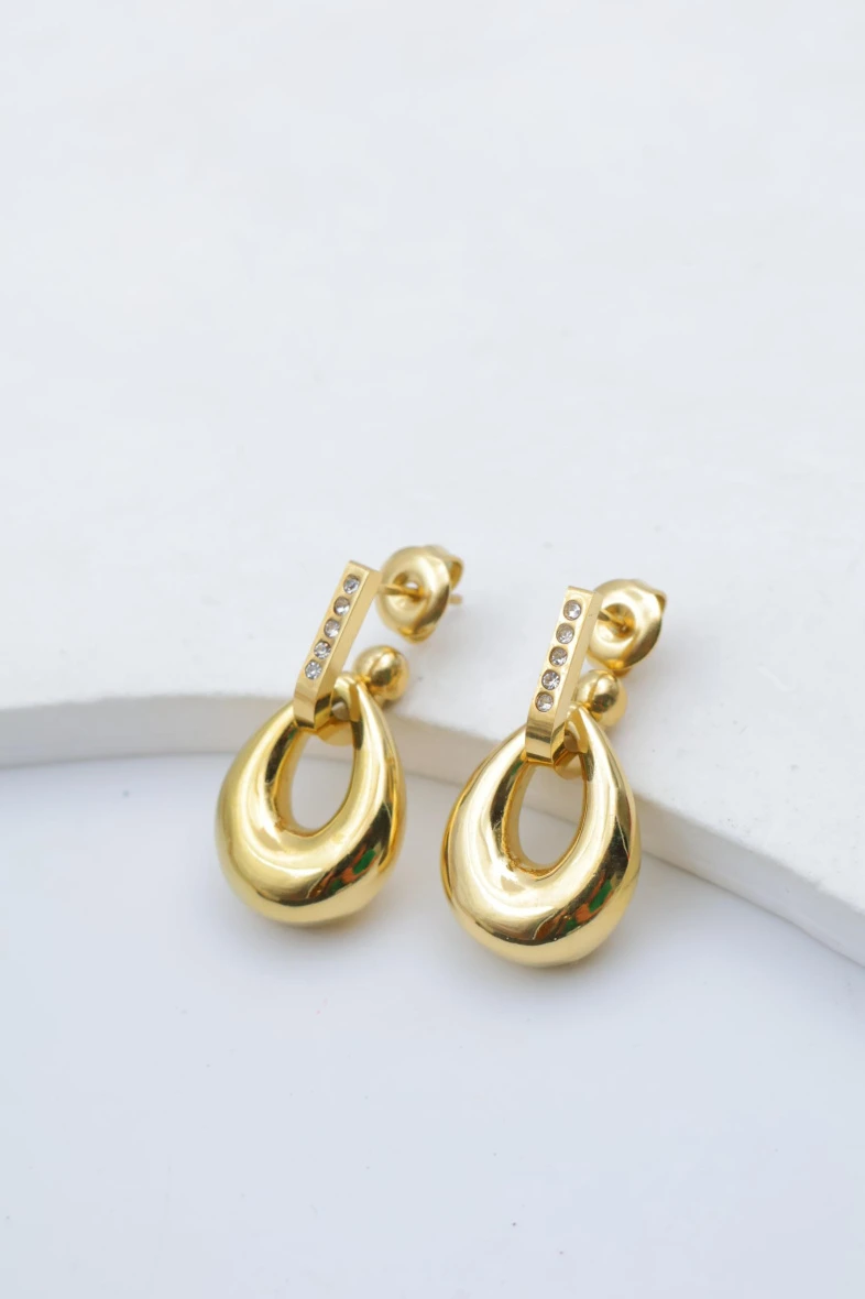 Stainless steel earrings 2
