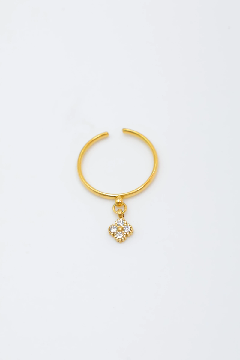 Bague en acier inoxydable ajustable 2