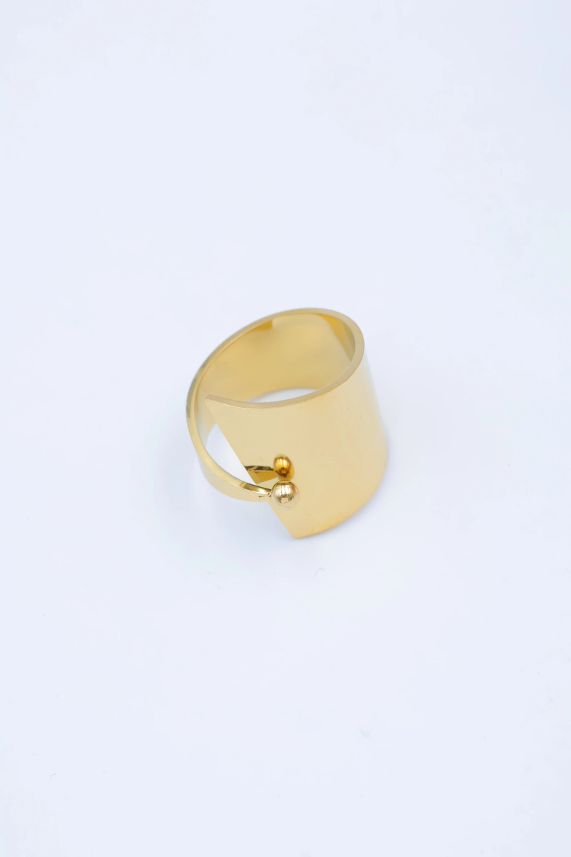 Bague en acier inoxydable ajustable 2