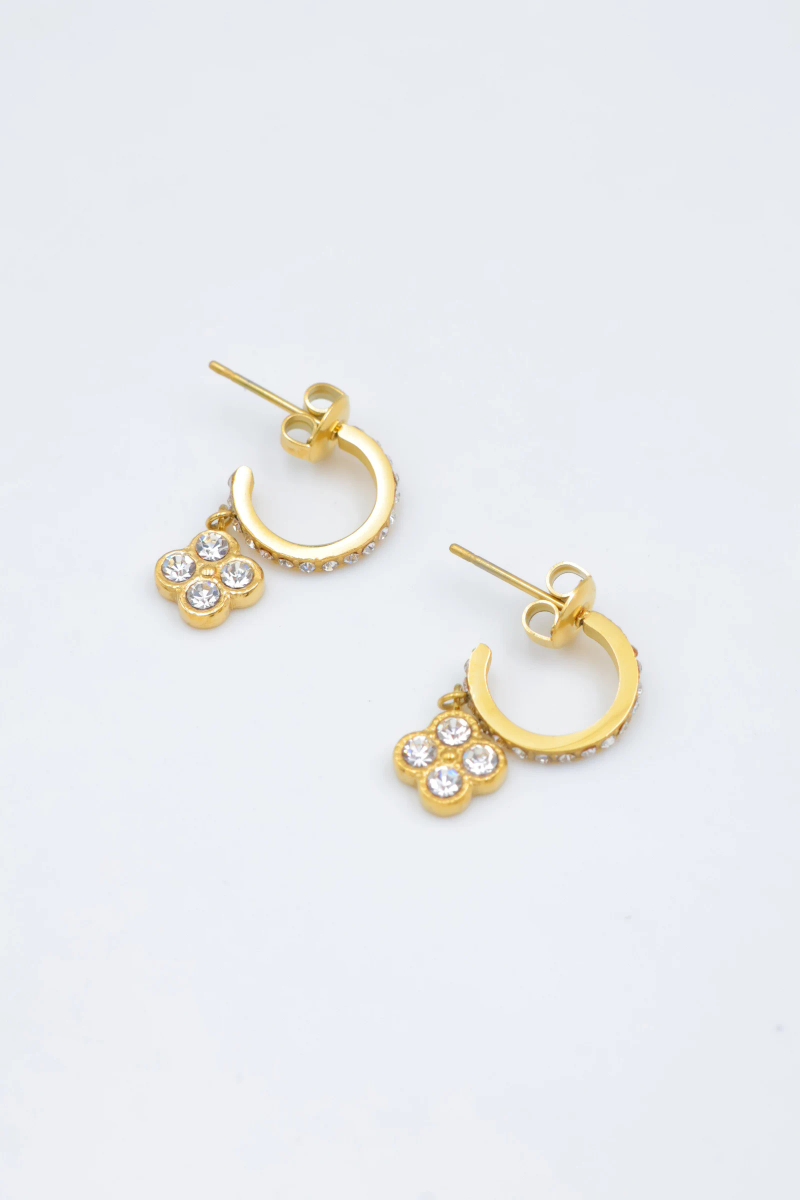 Stainless steel earrings 2