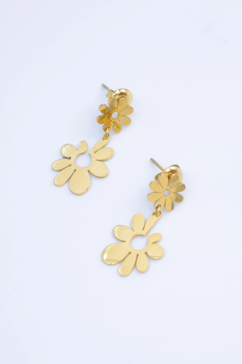 Stainless steel earrings 2