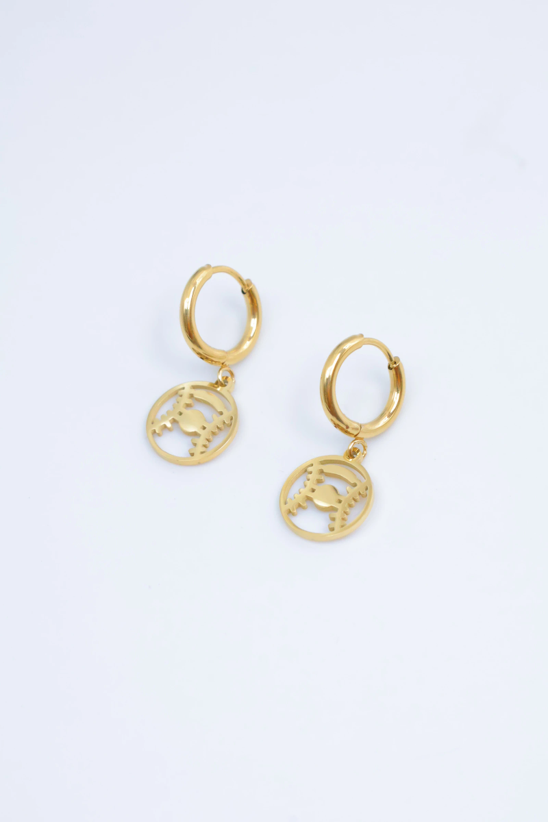 Stainless steel earrings 2