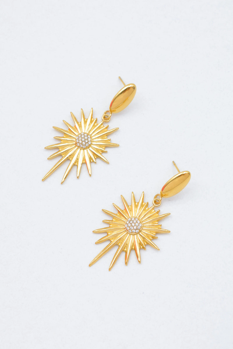 Stainless steel earrings 2