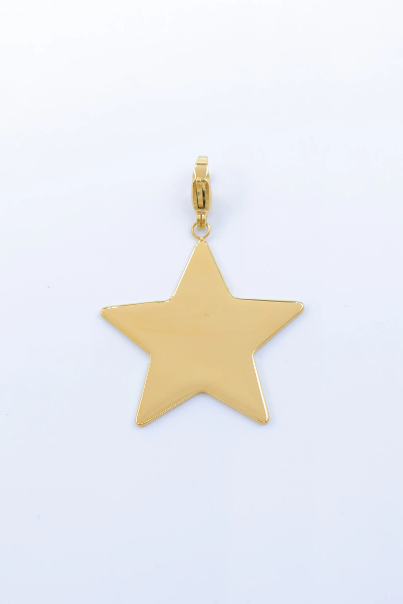Stainless steel pendant 2