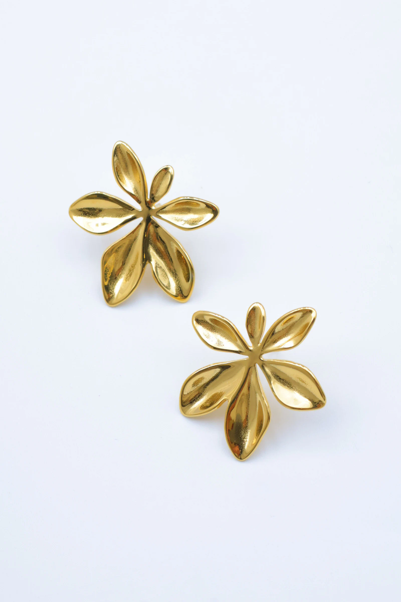 Stainless steel earrings 2